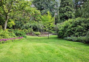 Optimiser l'expérience du jardin à Boisset-et-Gaujac